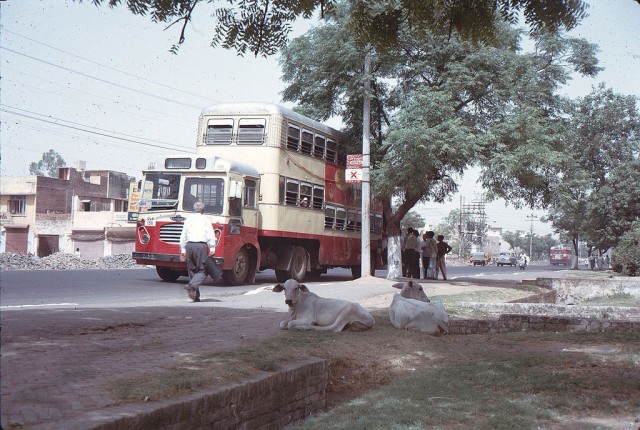 Улицы мира в 1970 году. Какими они были полвека назад