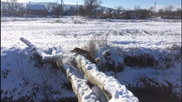 Вездеход геофизиков утонул два дня назад в Якутии