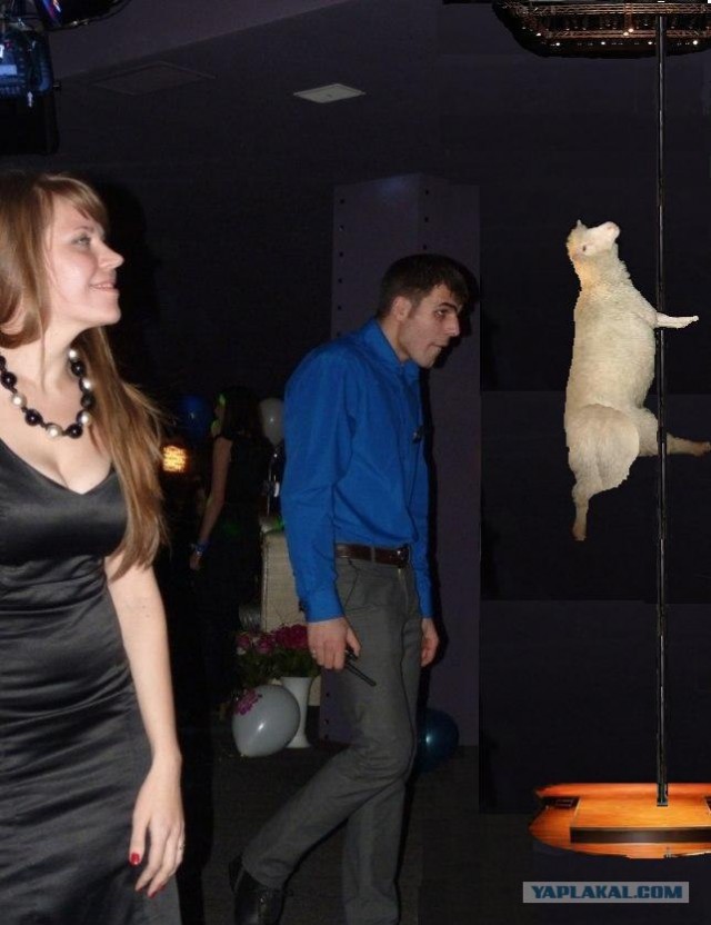 Фотожаба: Демонический охранник