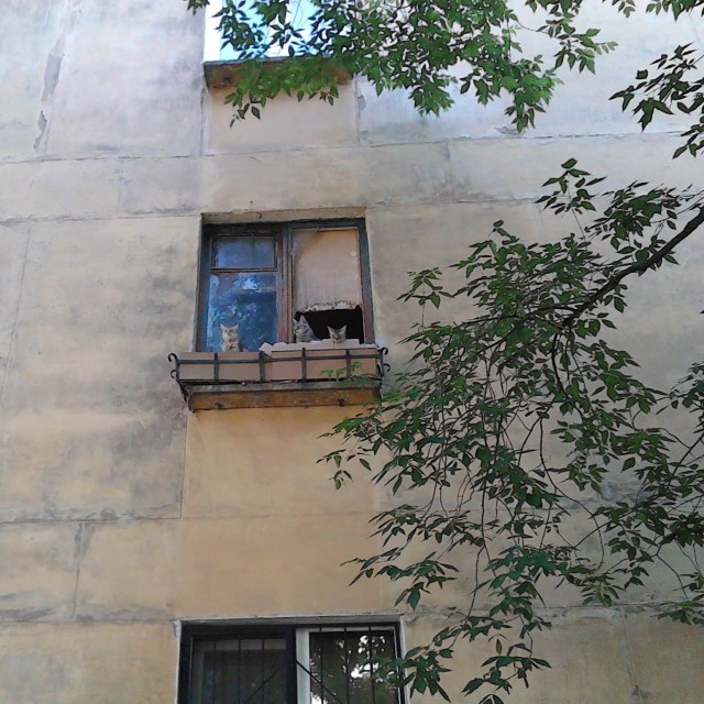 Просто фотки - 4