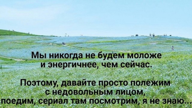 Шелушение коры