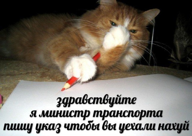 Сосаити (общество как оно есть)