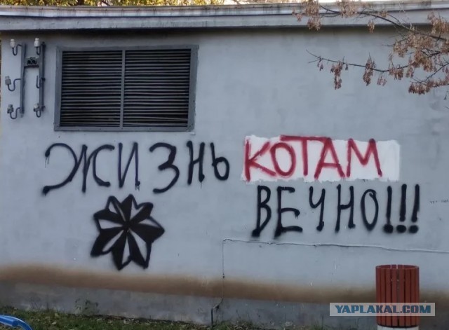 Люди больные АУЕ головного мозга...Надо ли их жалеть?