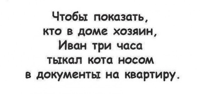 Весёлый полтишок 09.09.