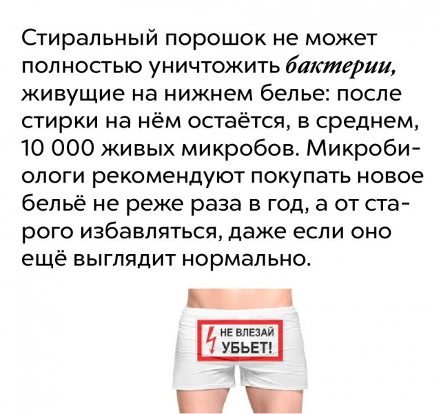 Занимательные факты о разном