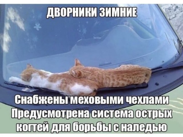 Картинки и мемы для настроения 13.12.2021