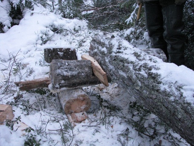 Карельский робинзон