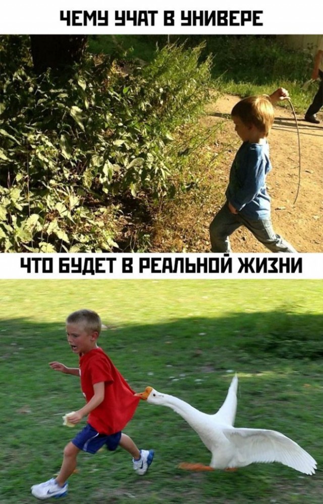 Картинки и мемы, всем хороших выходных