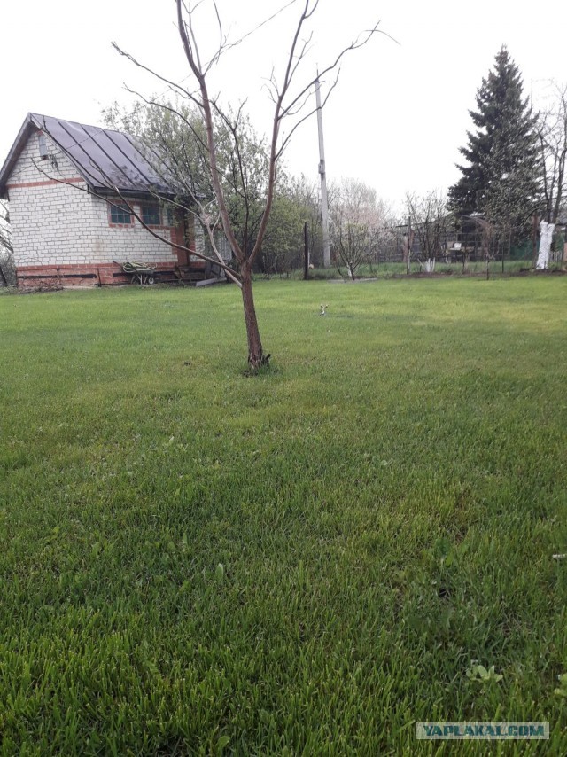 Застрял на даче, дождь
