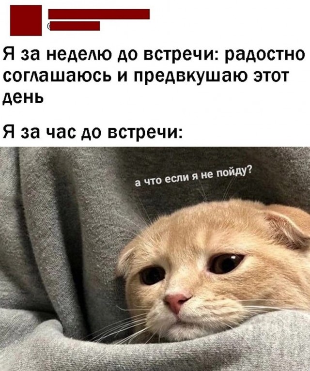 Так себе картинки 15.05.22