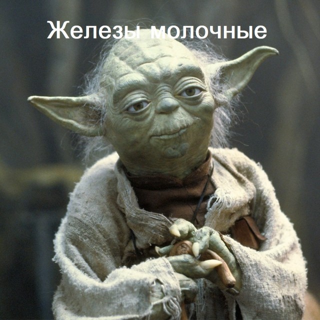 Про сиськи