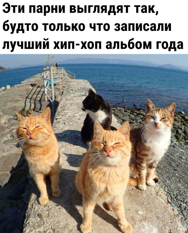 Так себе картинки 23.06.22