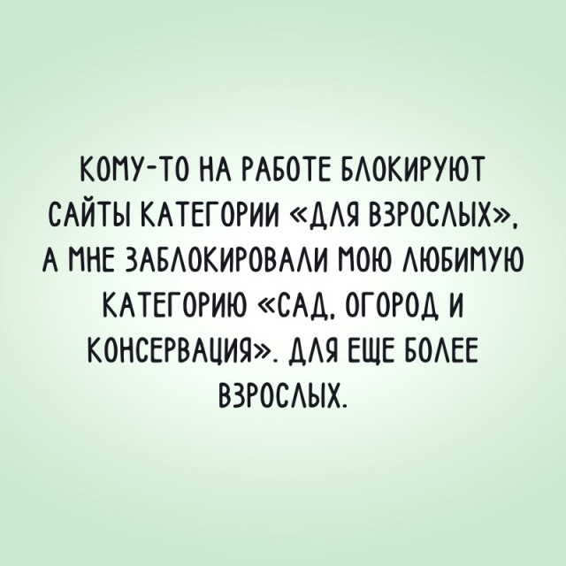 Так себе картинки 27.06.22