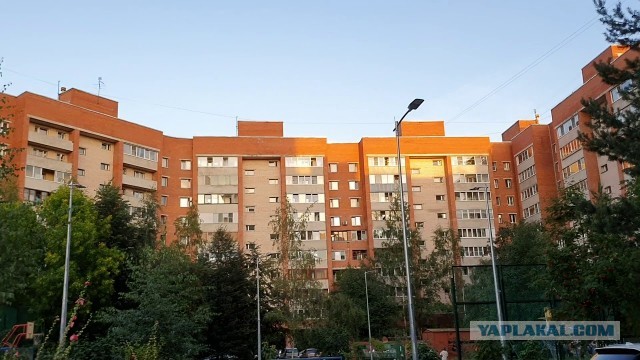 Питер лето 2022. Зарисовка