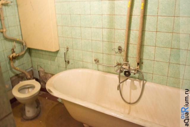 СПб глазами уставшего туриста...