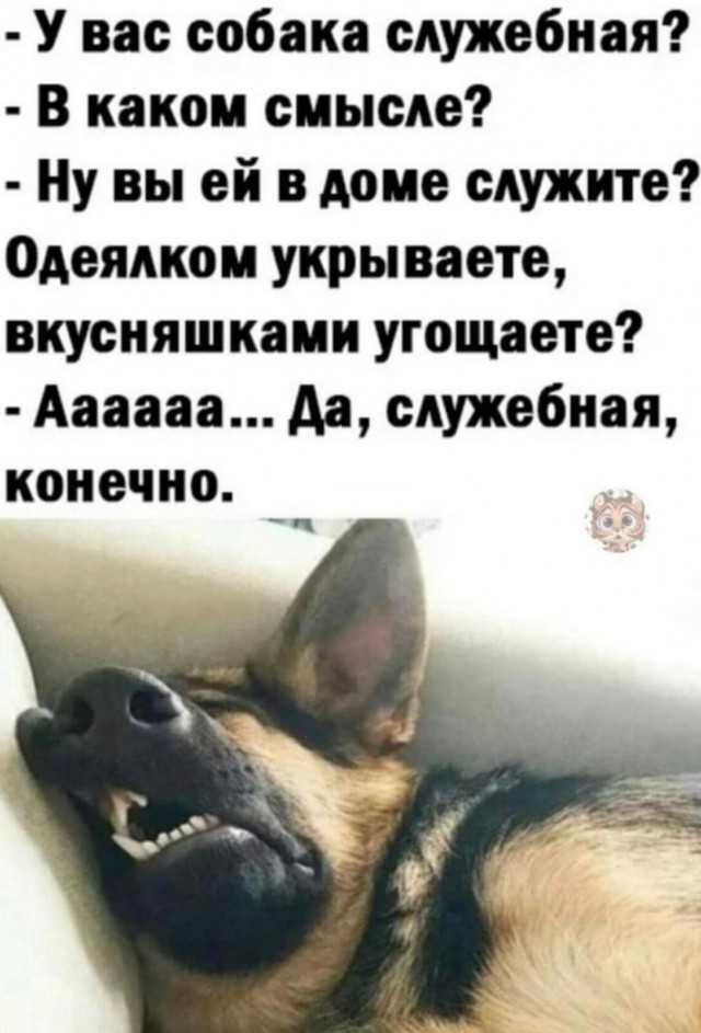 Юмор в картинках и без 22.08.22