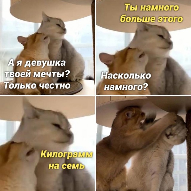 Картинки и мемы для настроения - 21