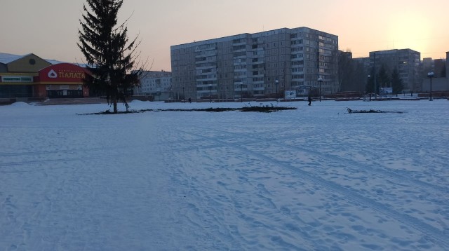 На Алтае поставили облезлую новогоднюю ель. Жители Заринска философски решили, что «какой год, такая и ёлка»