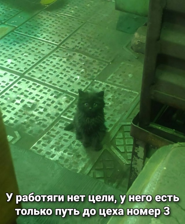 Ночь, камера, злоумышленник.