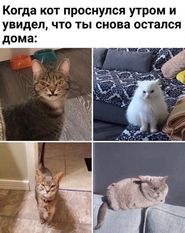 Картинки аморальные и всякие разные - 47