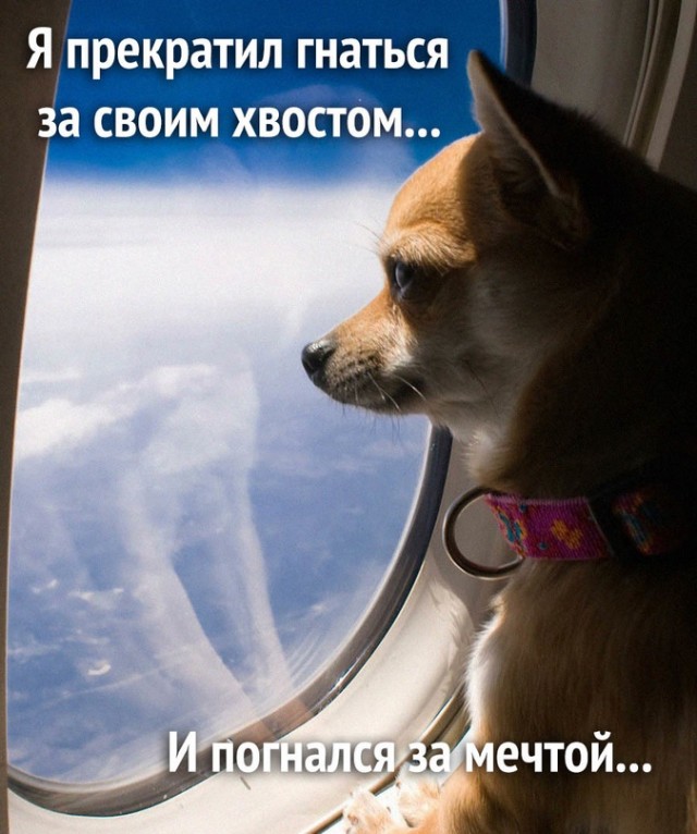 Картинки и мемы, всем хороших выходных