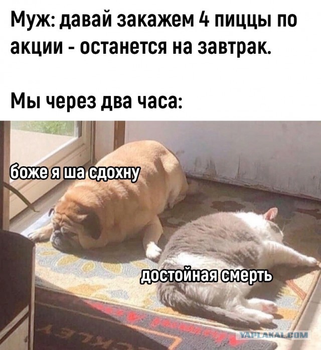 Жить ли с РСП?