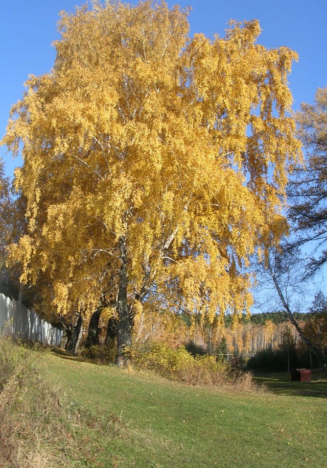 Природа Южного Урала