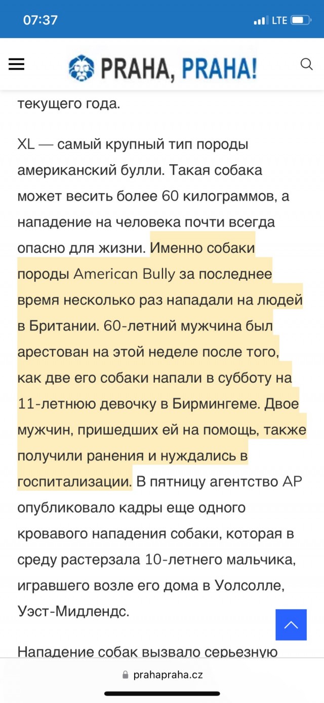 Любовь с первого взгляда