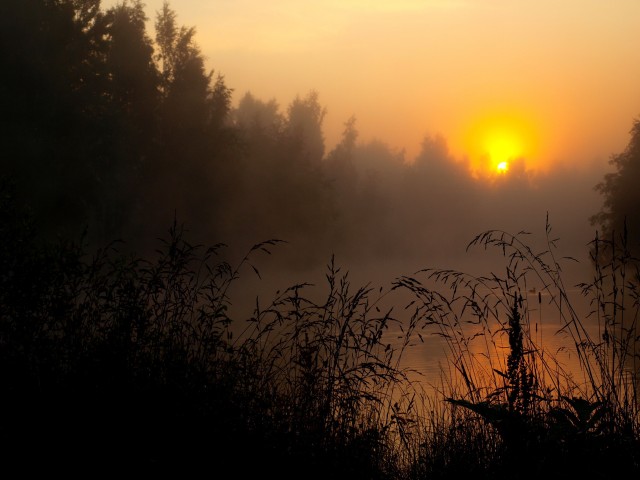 Мои фото без обработки