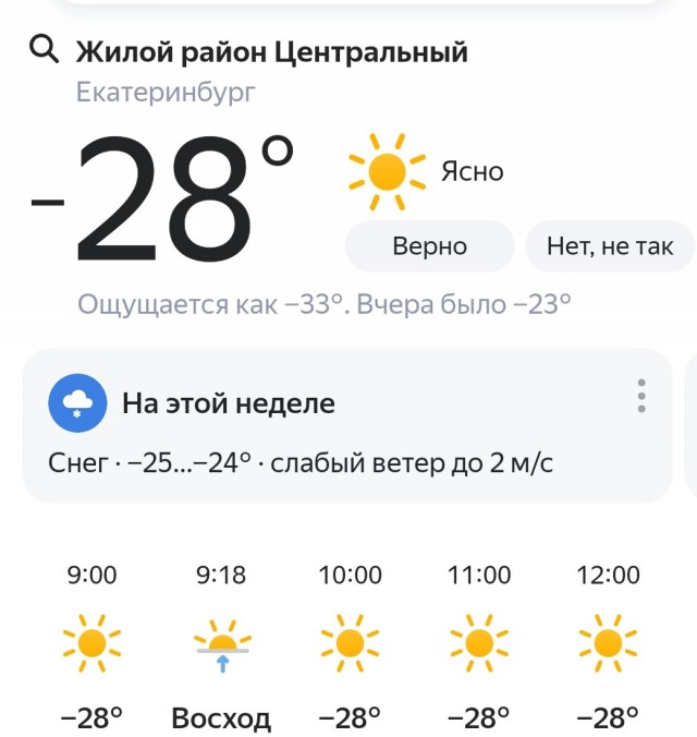 Утренний сюрприз