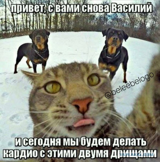 Конкурс Короткого Креатива № 30. Вливайся!