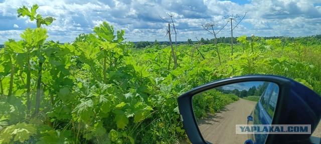 Пожарное депо в Тургиново