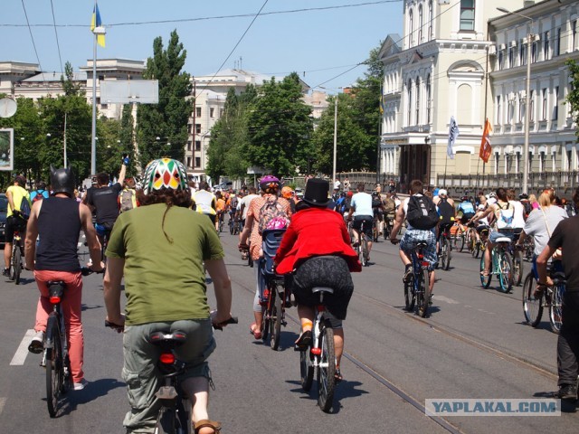 Фотоотчет с Велодня-2013.