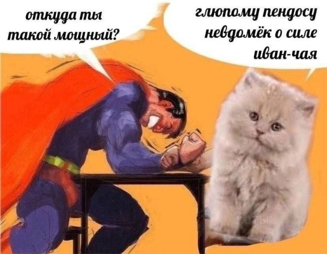 Настало твоё время! Кипрей-Тонколистный, он же Иван-Чай
