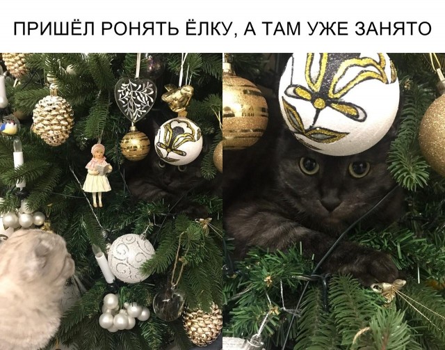 Завалялось тут случайно немного забавных картинок