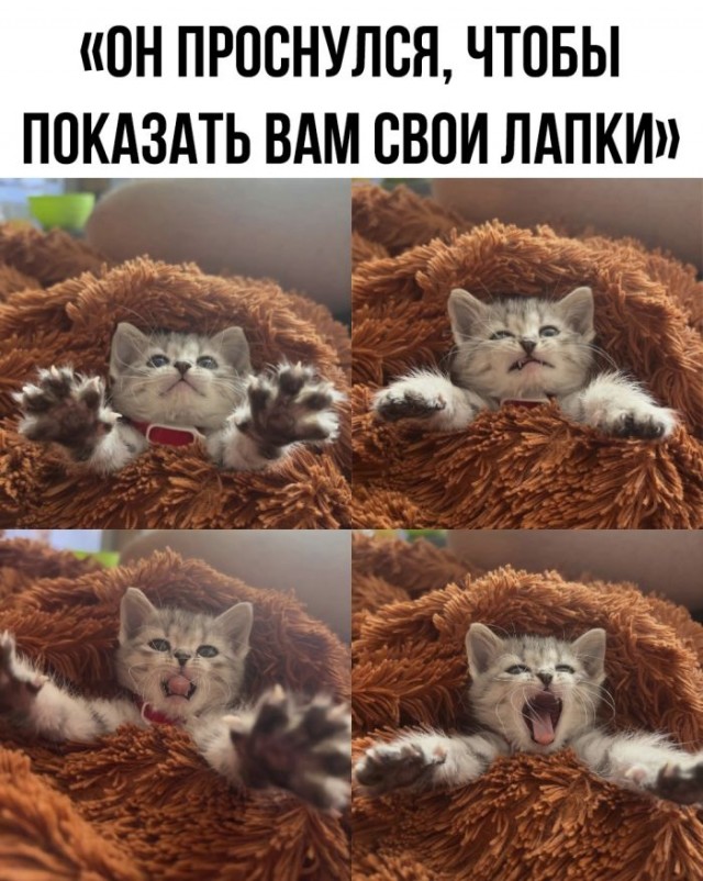 Так себе картинки 13.01.25