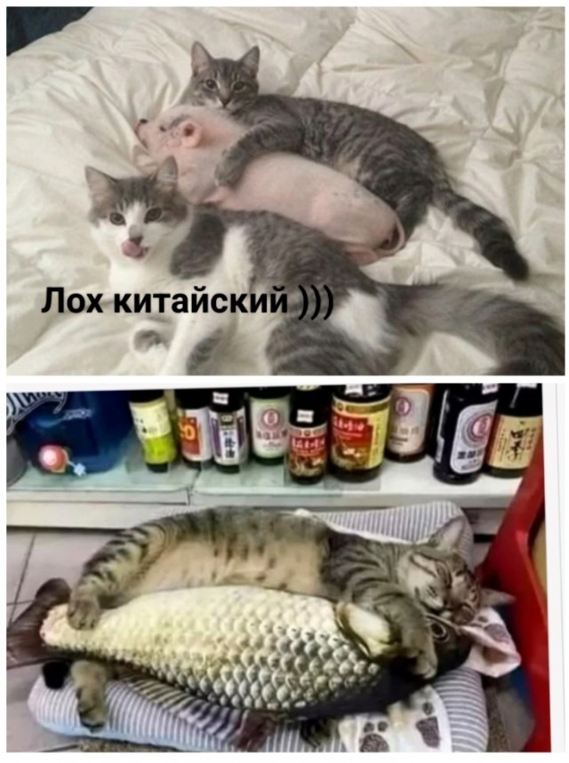 Завалялось тут случайно немного забавных картинок