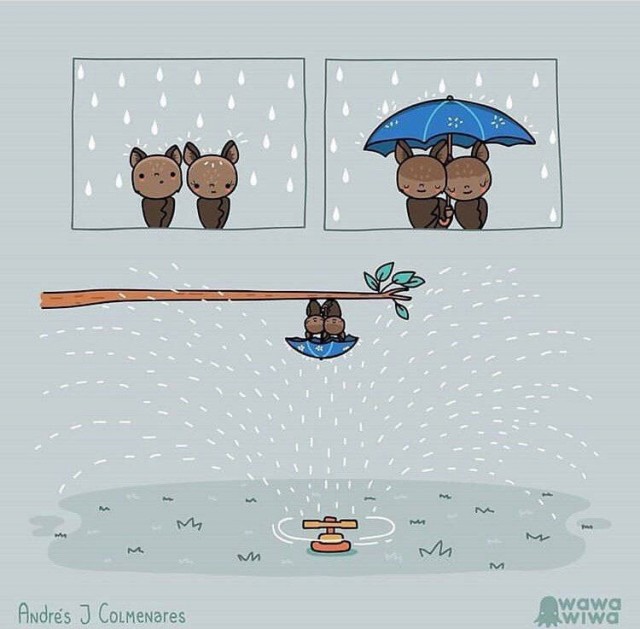 Так себе картинки 24.02.25