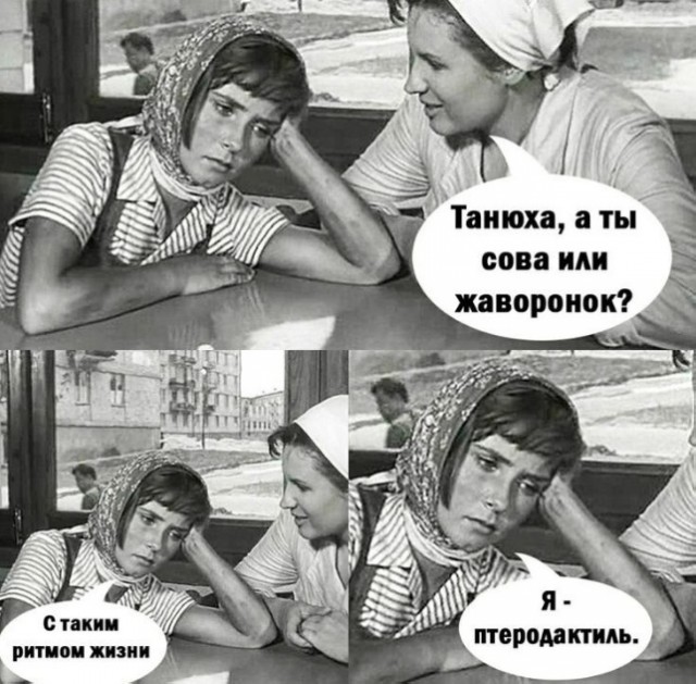 Так себе картинки 16.05.25