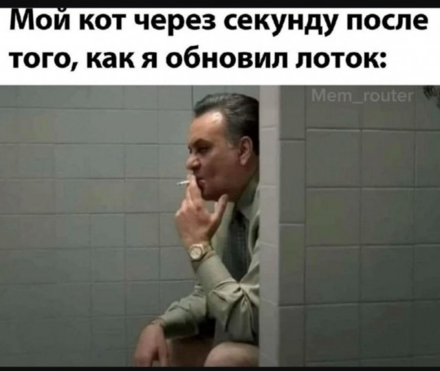 Так себе картинки 07.07.25