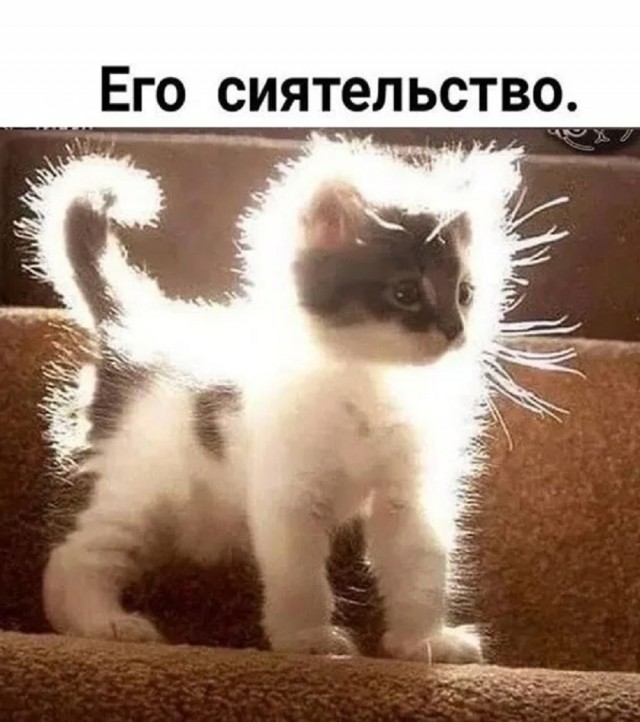 Так себе картинки 18.07.25