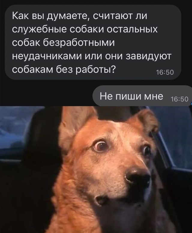 Так себе картинки 28.08.25
