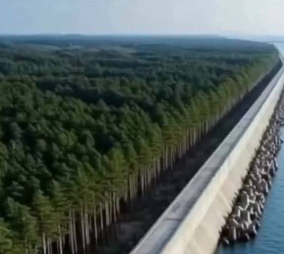 Великая японская стена