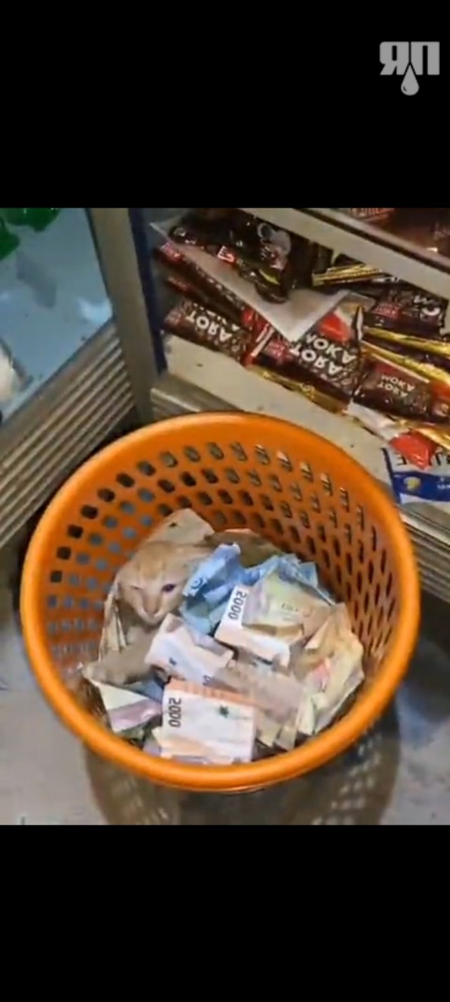 Мохнатые на работе