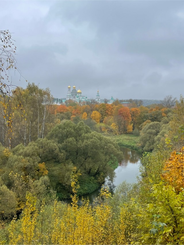 Вот и осень к нам пришла