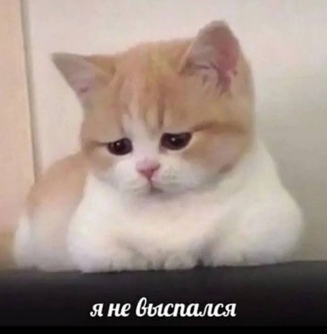 Депрессивный дегрономикон 2