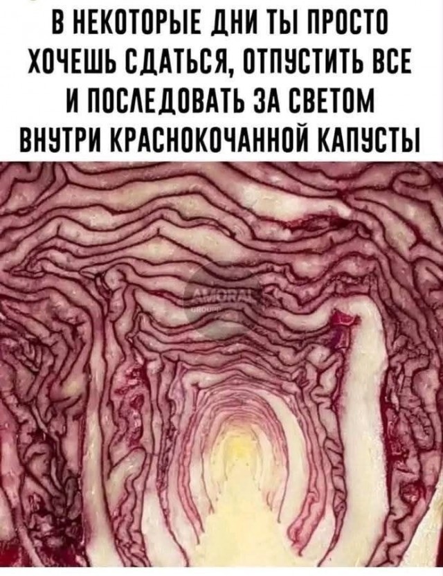 Понедельника картинки