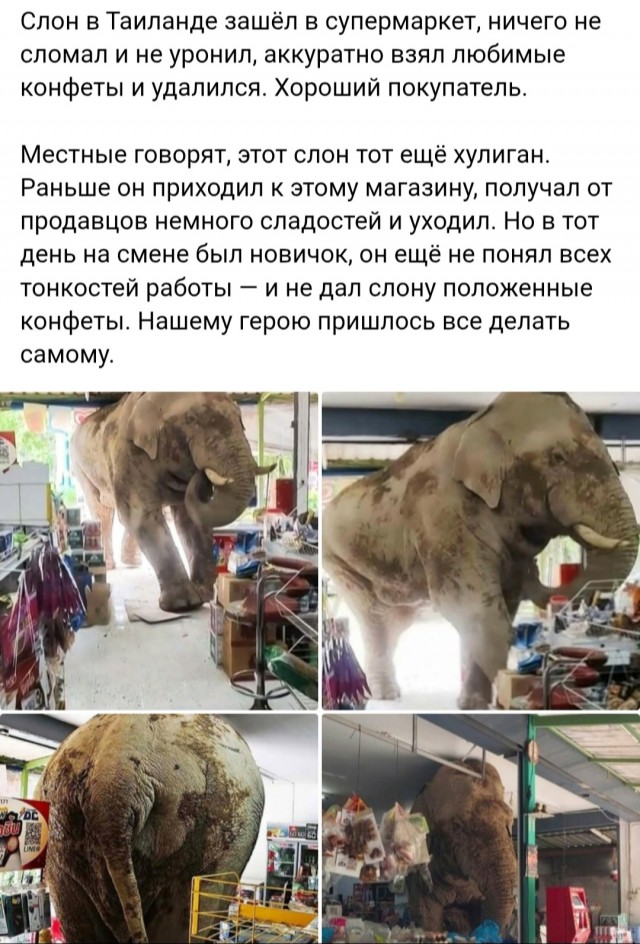 Картиночки, баянчики 17 января