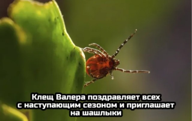 Гонки за "выживание"