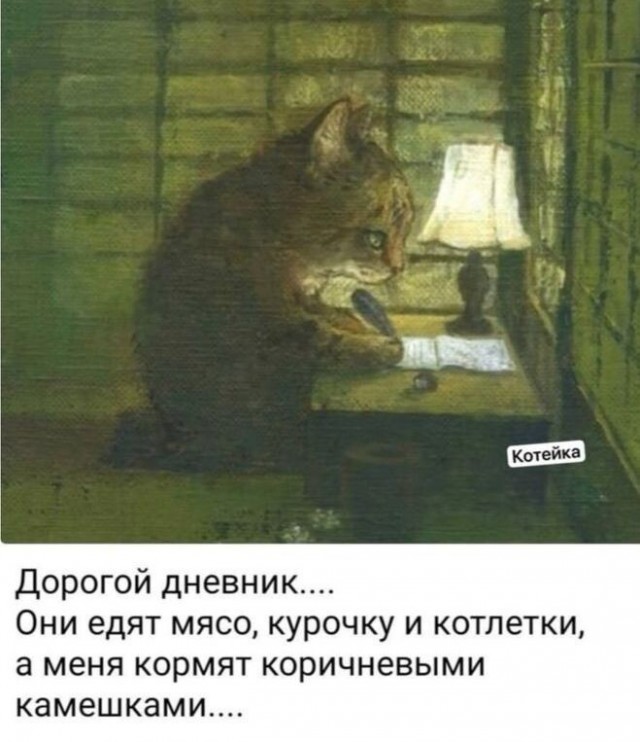 Картинки всякие разные невпопад 1.4